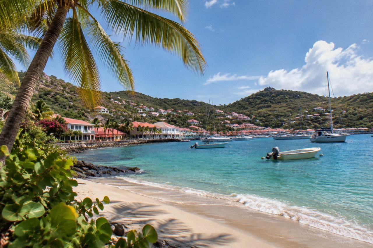 A palm-lined beach on St Barts under a sunny sky with calm turquoise water