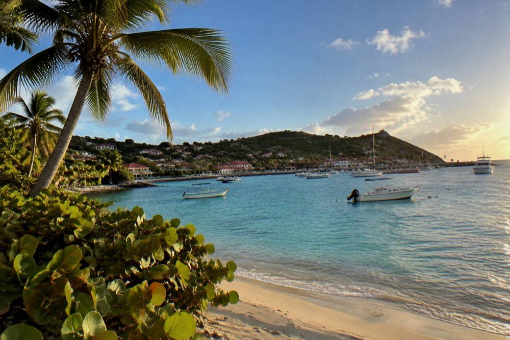 Palm trees against a blue Caribbean sky above a lagoon