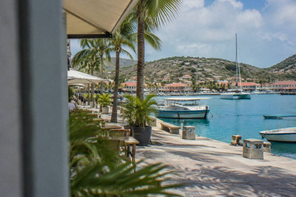 Palm-lined quay in a Caribbean port town at midday with fishing boats and catamarans
