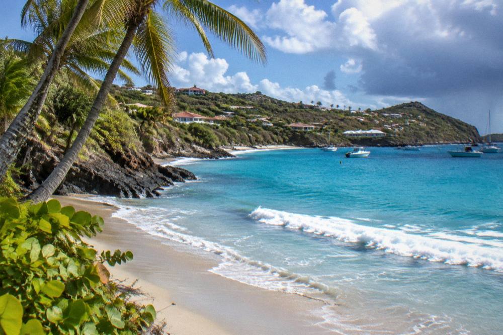 Palm trees leaning over an empty Caribbean beach at golden hour with gentle surf