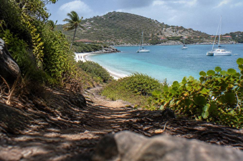 A shaded dirt trail winding through dry green scrub toward the sea