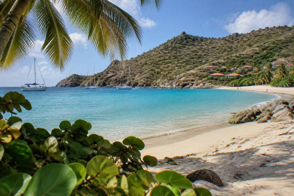 Palm fronds and turquoise shallows under bright tropical light