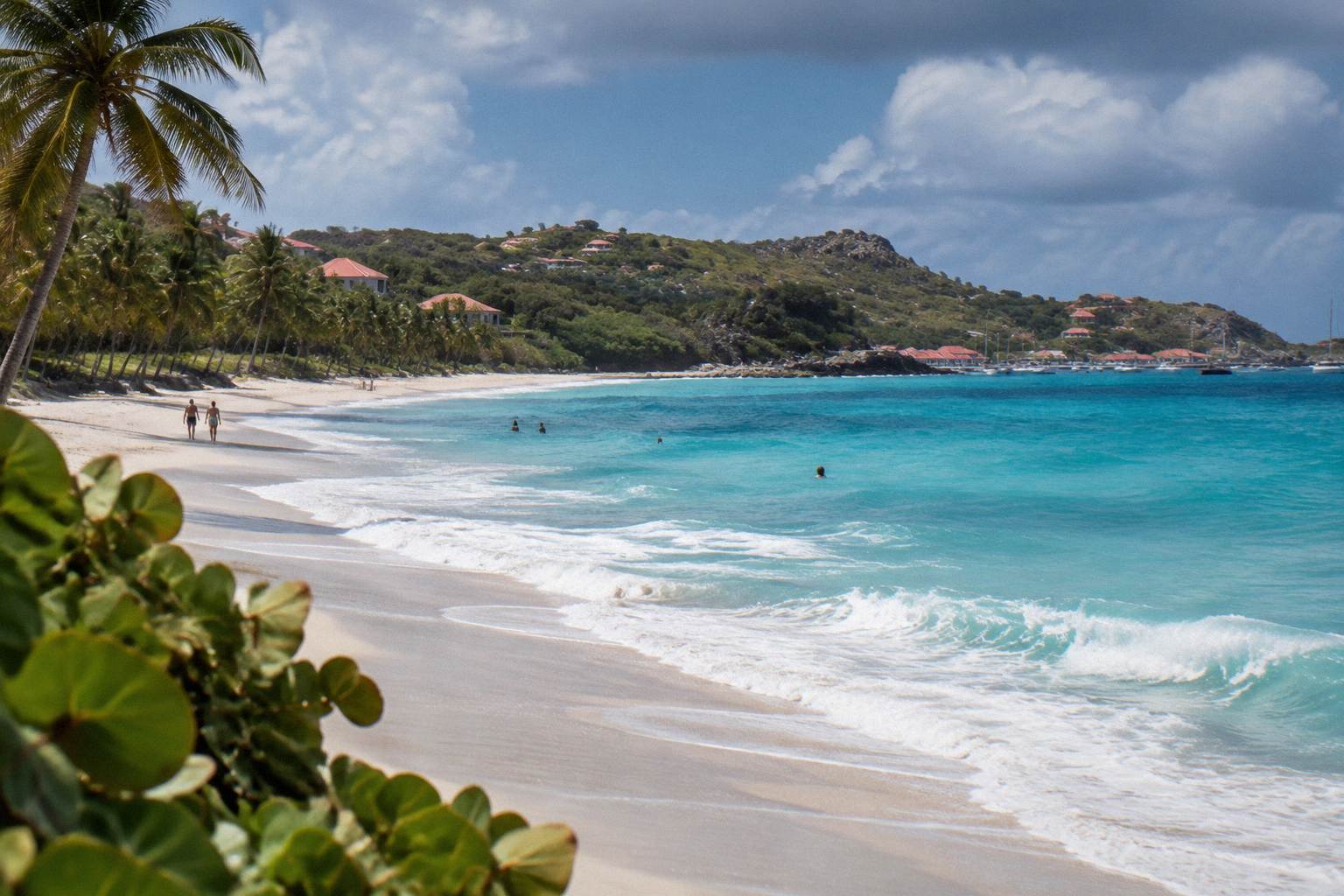 Broad beach with palms on the north-west coast