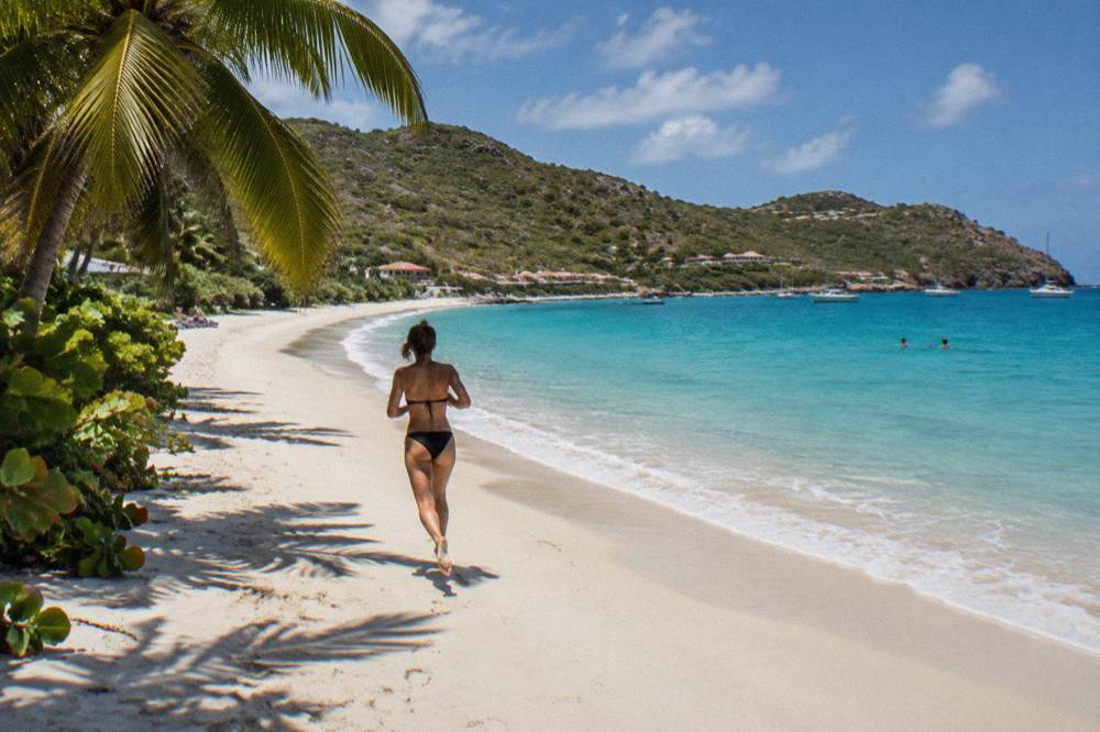 A palm frond and turquoise sea under a bright sky at a Caribbean beach