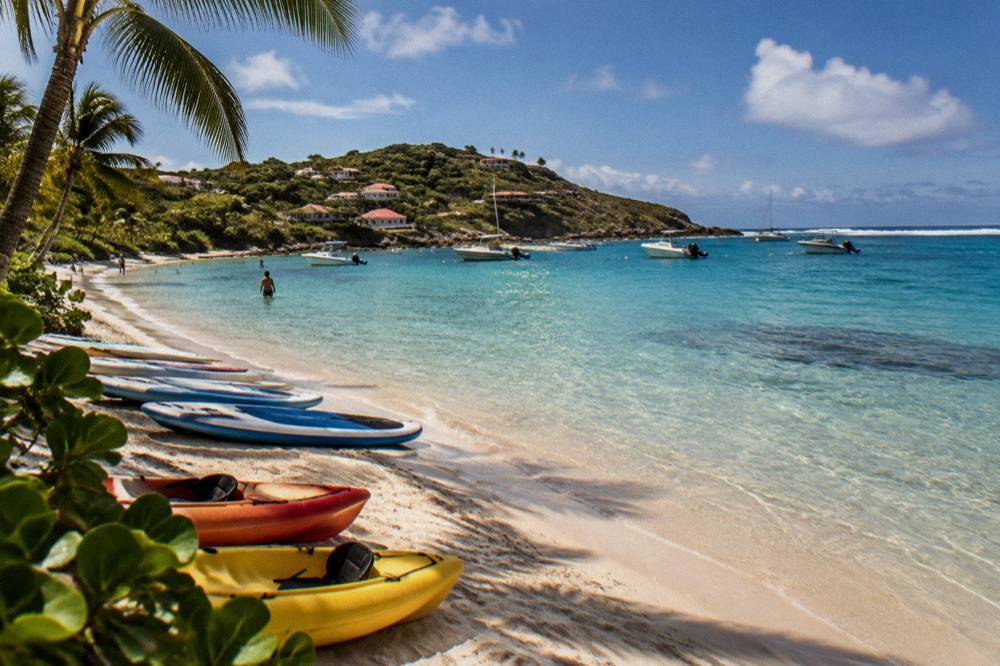 Paddleboards and kayaks lined up on sand beside calm shallow water