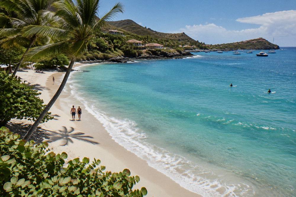 Palm trees leaning over pale sand with gentle turquoise water and a clear sky