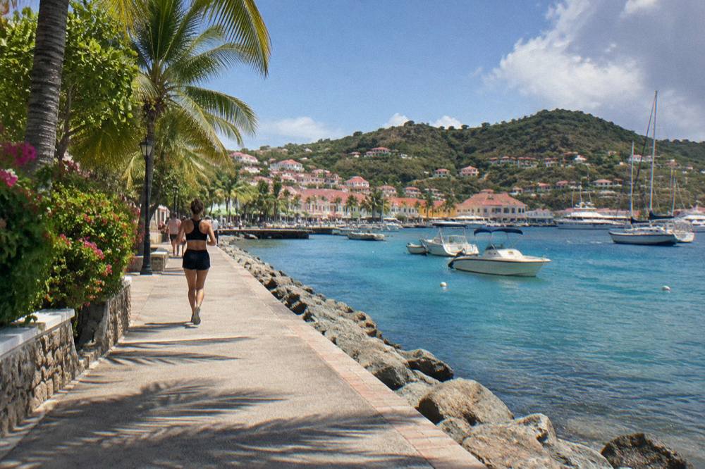 A quiet palm-lined bay at golden hour on the coast of St Barts