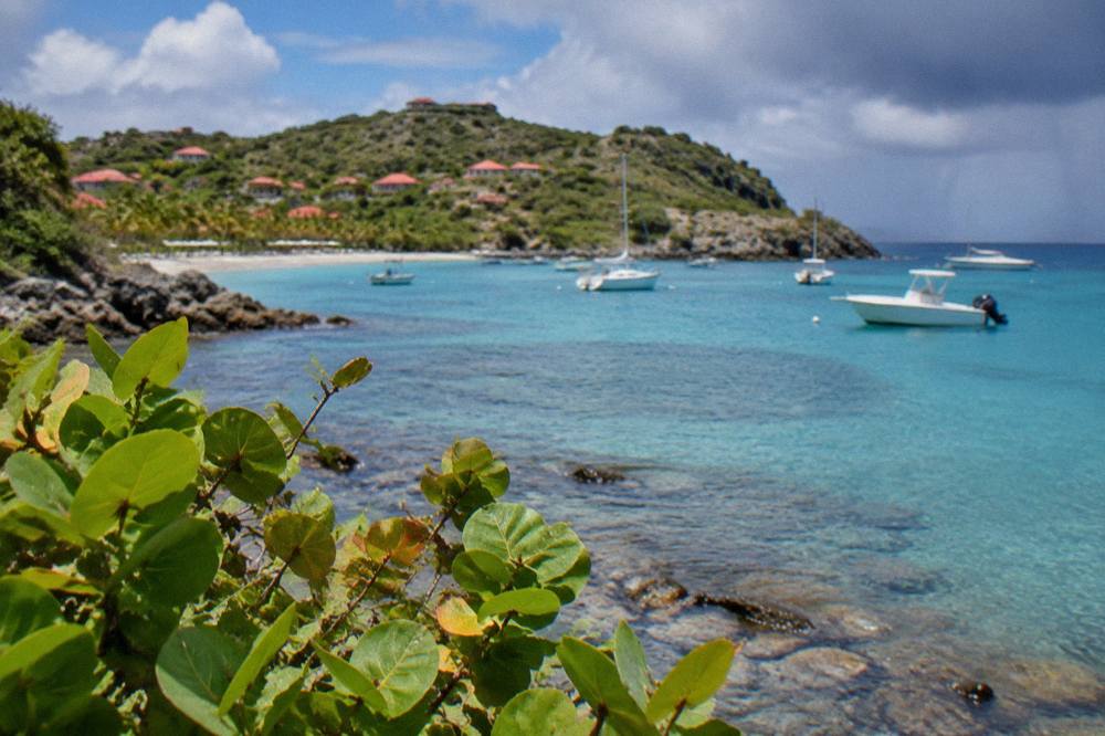 A broad Caribbean bay with shallow turquoise water and palm trees along the shore