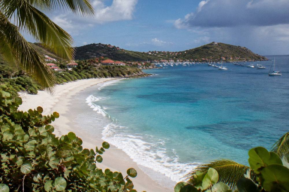 Palm fronds and sea grape leaves framing a view of sand and gentle waves in bright light