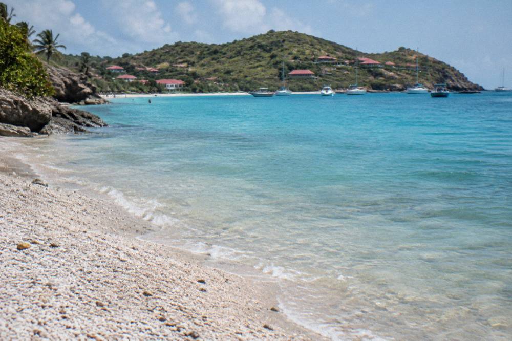 Close view of a shoreline composed of crushed white and grey seashells meeting clear water