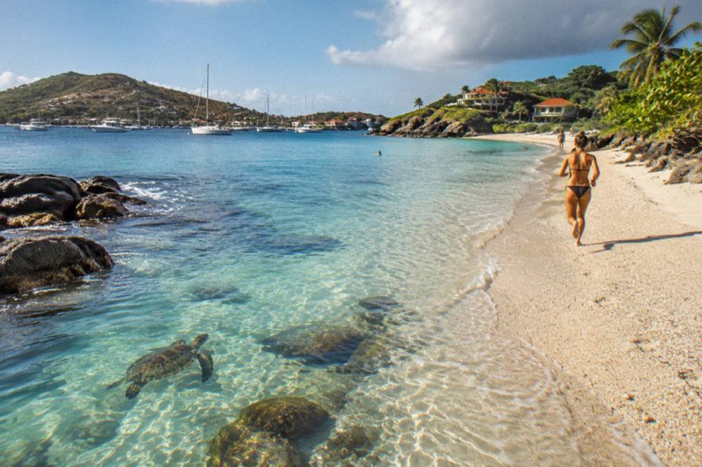 A green sea turtle swimming over clear shallow water near rocks