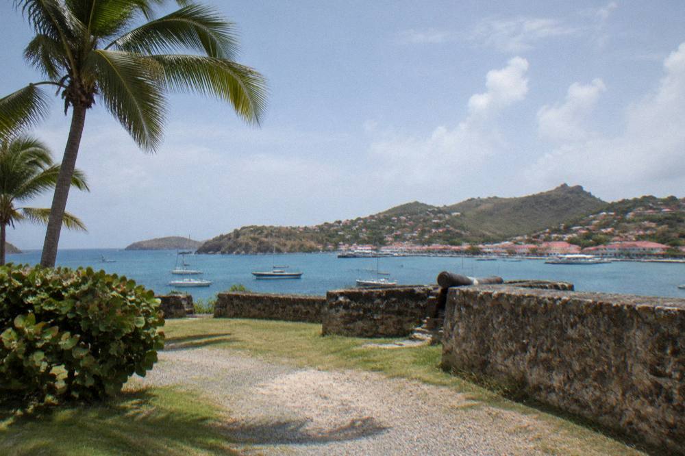 Palm trees and a stone wall under a bright sky in a Caribbean harbor town