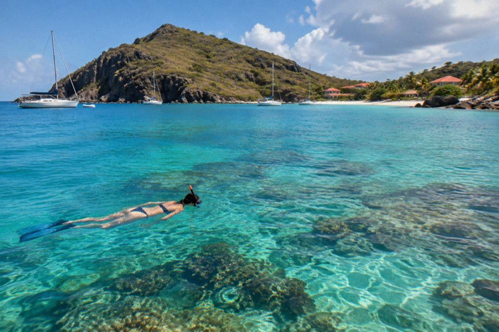 A snorkeller floating above coral in clear blue water