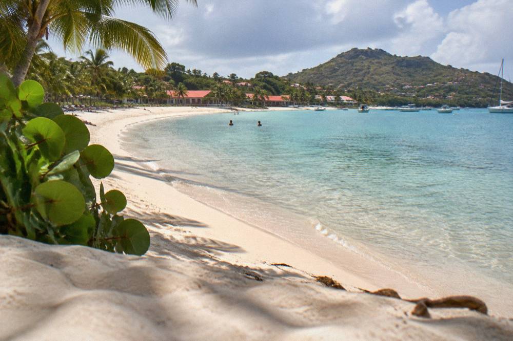A white sand beach with a calm bay and a few small buildings among palm trees