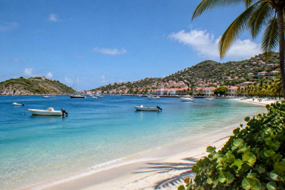 A palm-fringed beach with calm turquoise water and a distant green headland