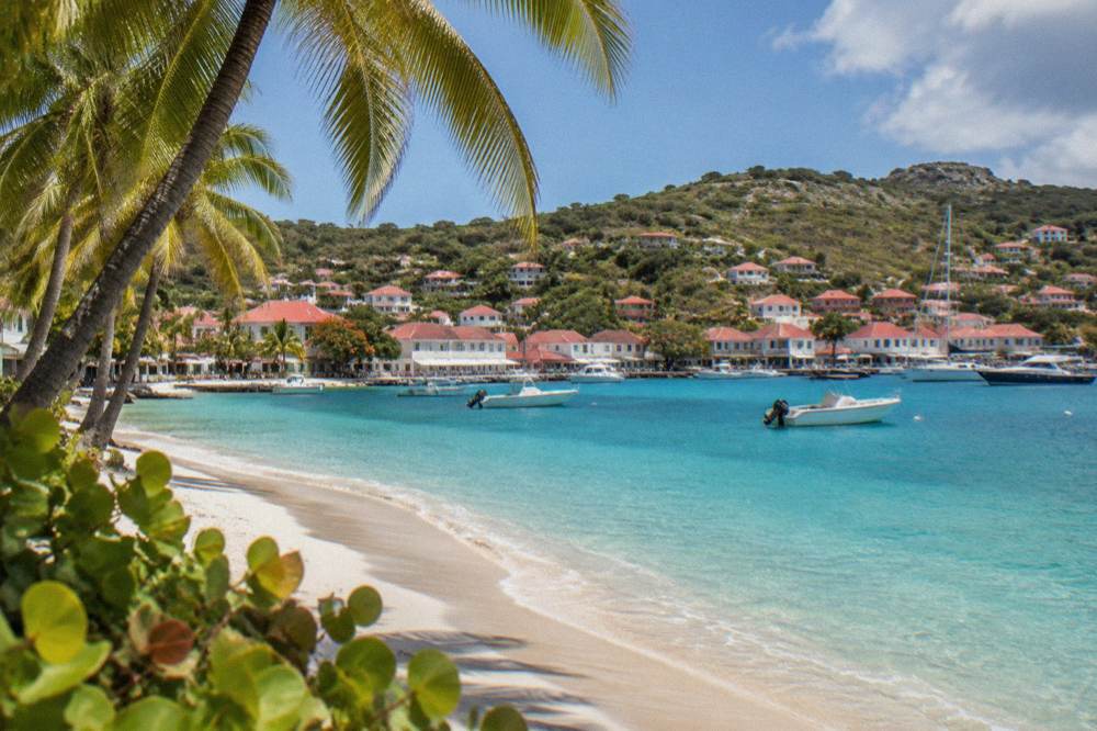 Palm trees leaning over an empty crescent of white sand beside calm turquoise sea