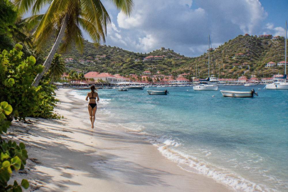 Palm trees leaning over an empty white sand beach on St Barts