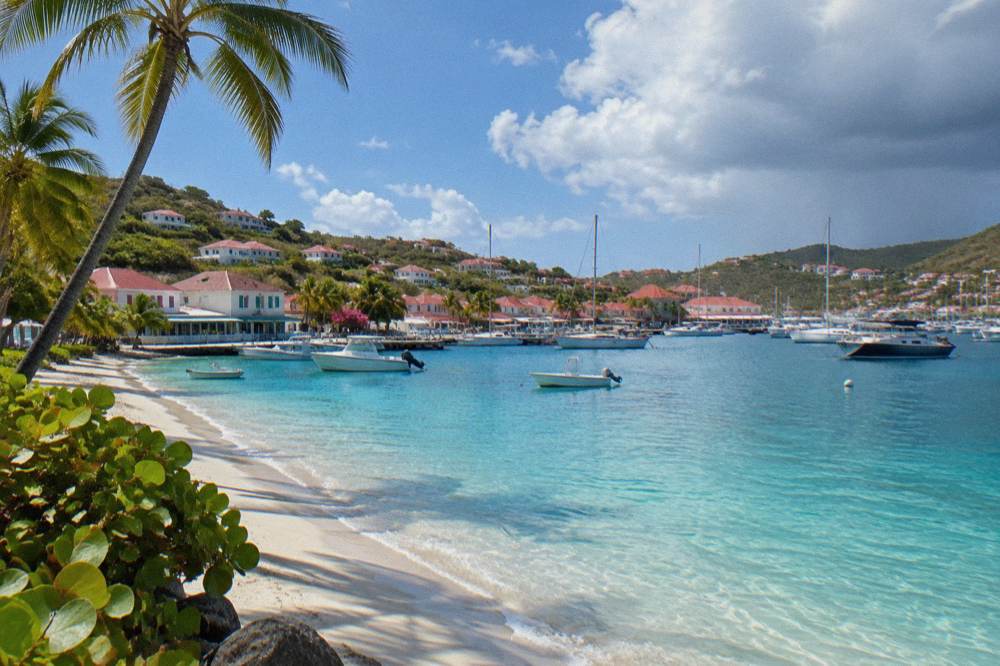 Palm trees leaning over an empty Caribbean beach with calm turquoise water