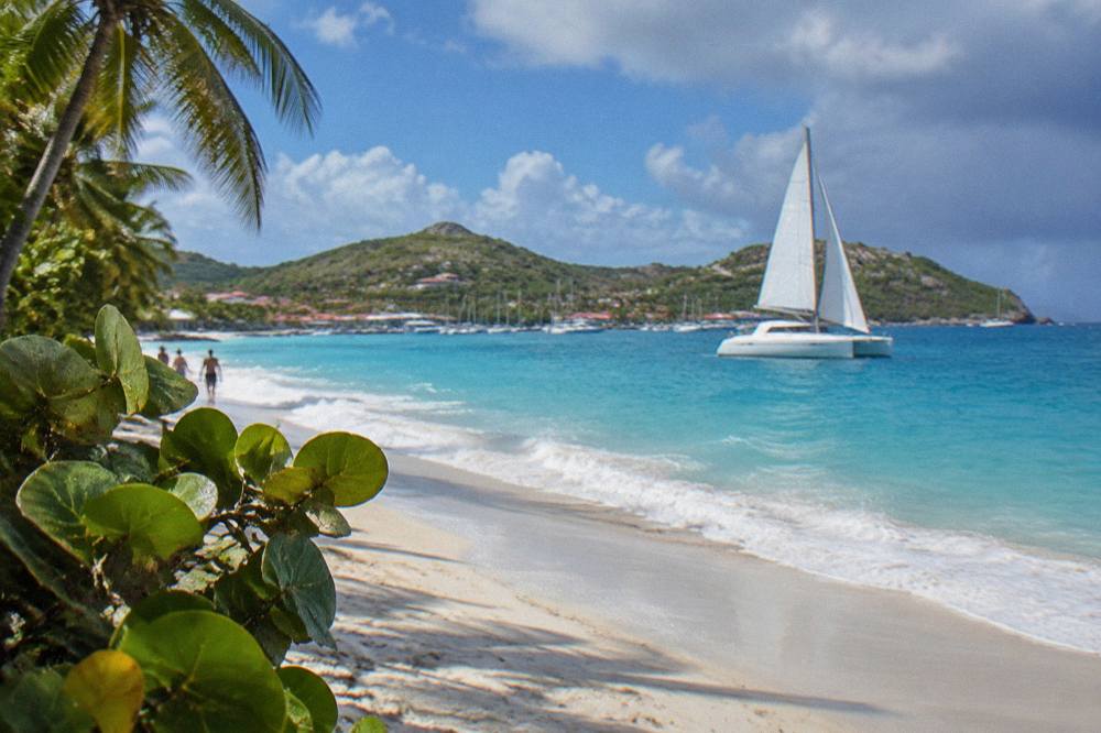A catamaran under sail on open blue water with low green islands on the horizon
