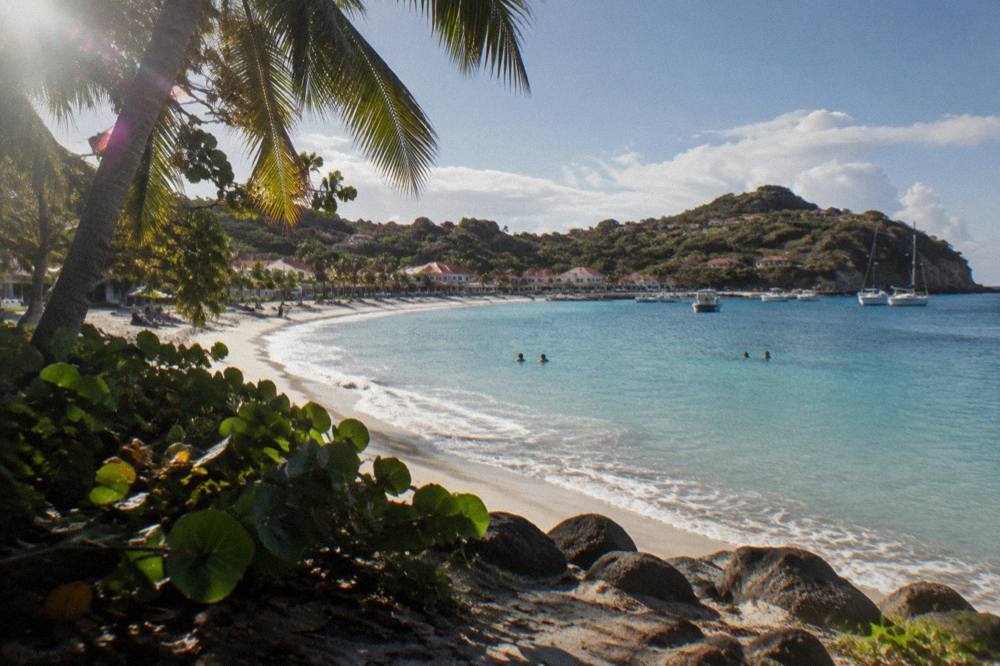 Palm trees bending over a beach beside calm turquoise water near a rocky point