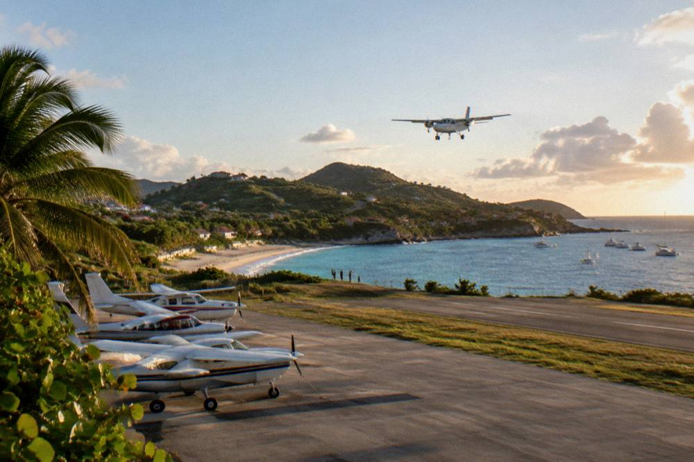 A row of small aircraft tied down on an airport apron with palm trees at the edge