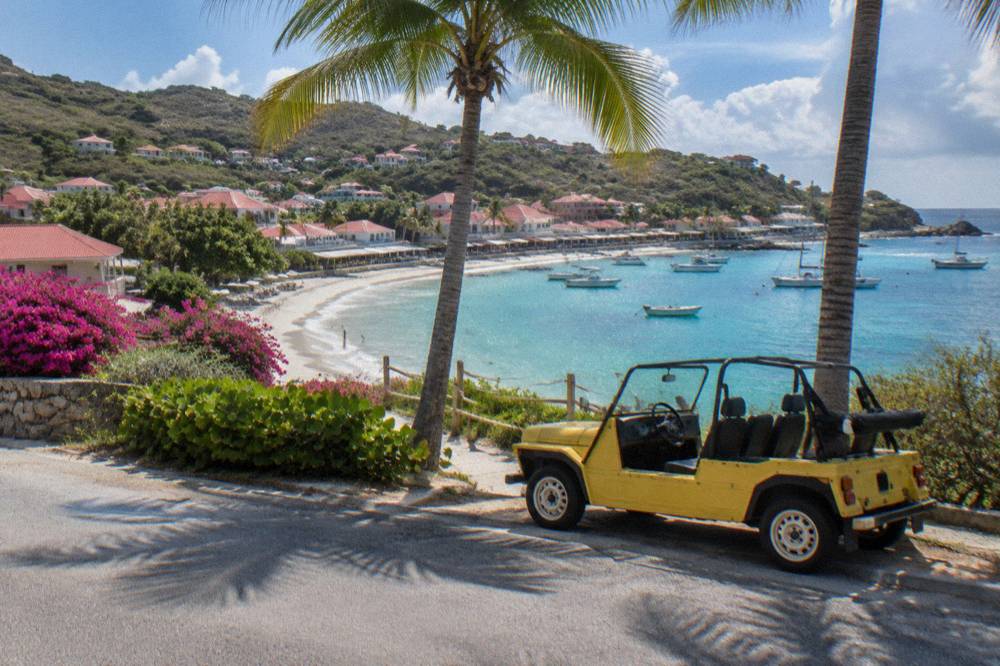 An open-top Mini Moke parked beside palm trees near a beach entrance