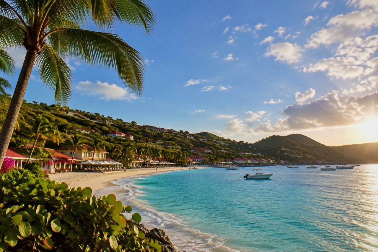A small Caribbean hotel garden with palm trees and red-roofed buildings on a green hillside