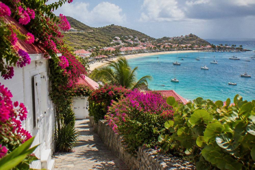 A tropical garden pathway lined with bougainvillea leading to white cottage doors