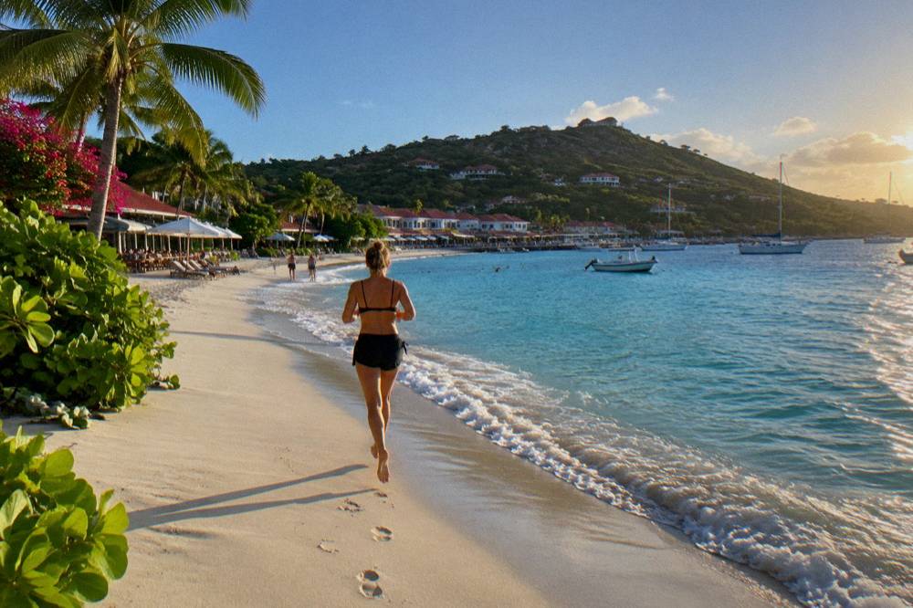 A palm-lined Caribbean beach under a clear blue sky with gentle waves