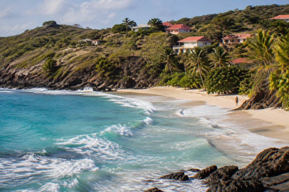 A quiet palm-lined beach cove with clear shallow water in the morning