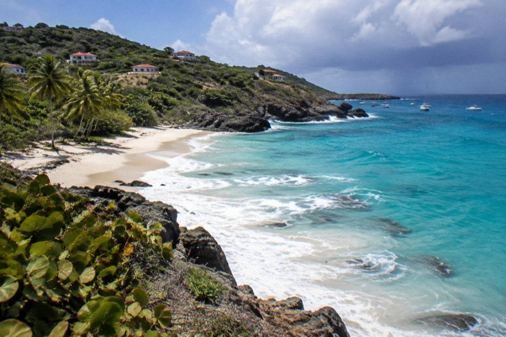 A sandy beach with a few coconut palms and no people, seen from a low headland