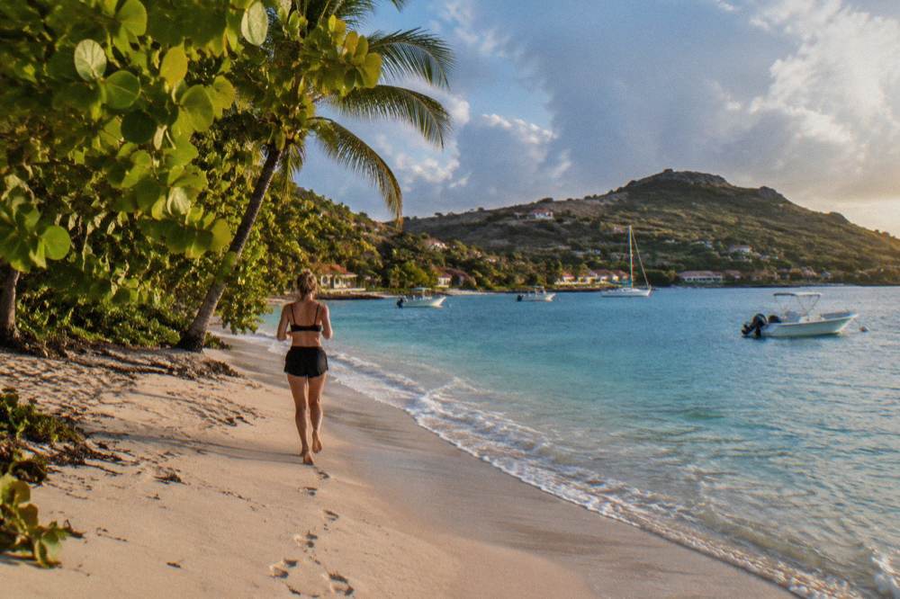 A quiet Caribbean beach at golden hour with calm water and a few palm trees