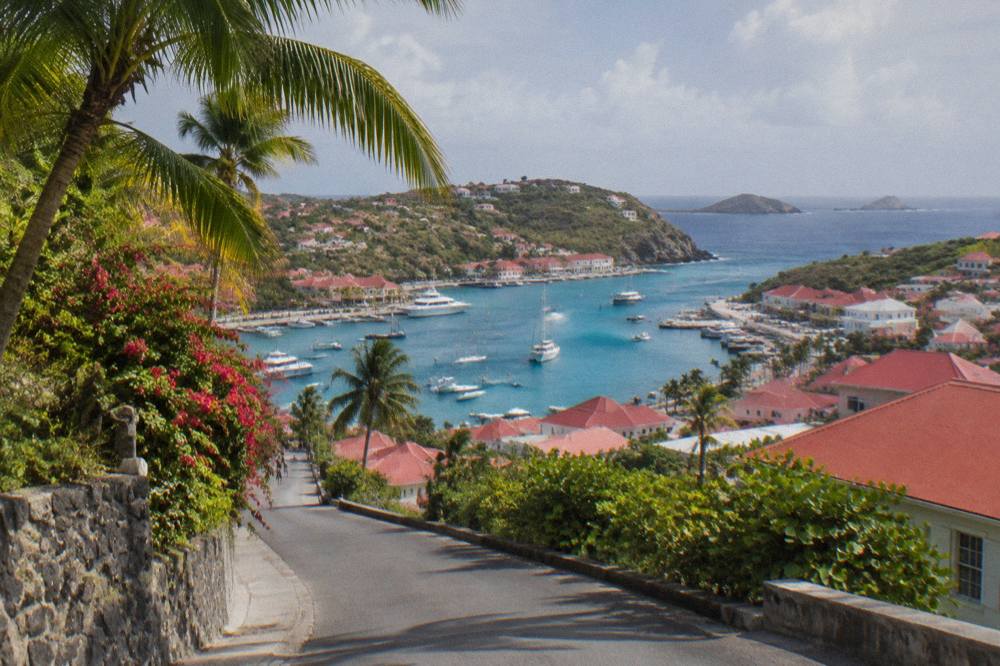 A palm-lined Caribbean hillside road looking down toward a blue bay and small town