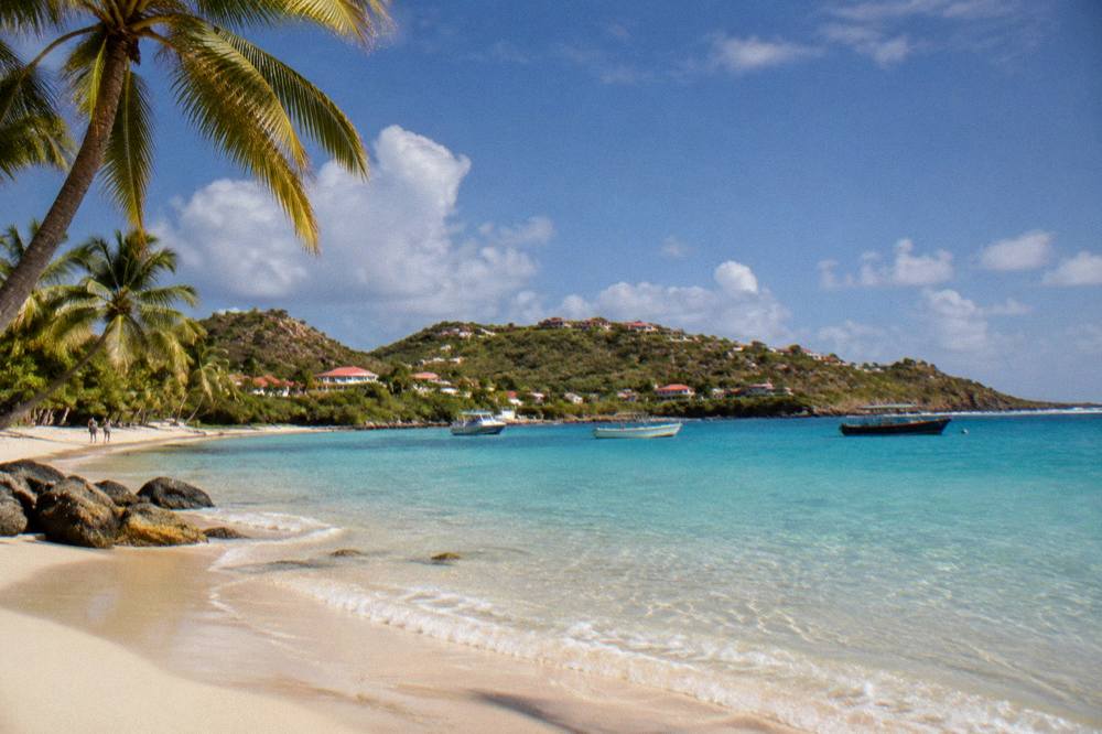 A quiet Caribbean beach at morning with clear shallow water and a few palm trees