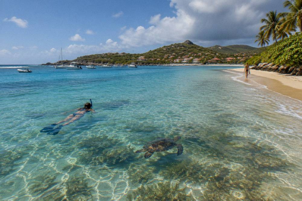A snorkeller floating over clear shallow water above seagrass with a green turtle swimming nearby