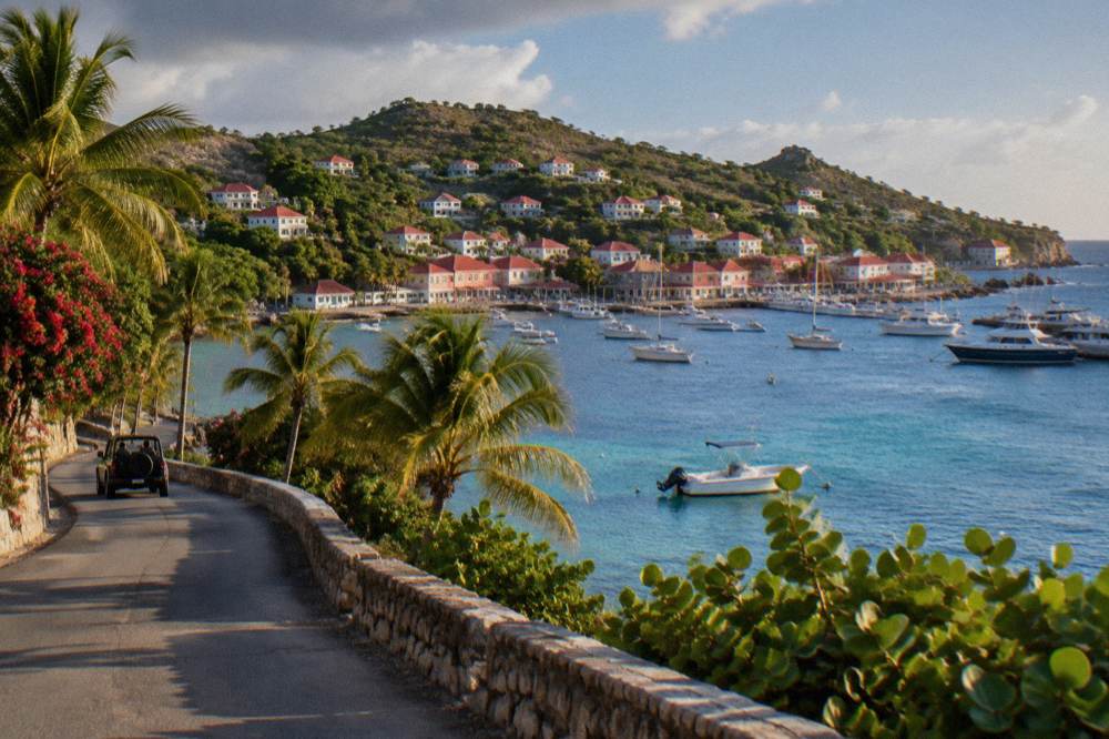 Narrow coastal road winding between palm trees and a stone wall above the sea