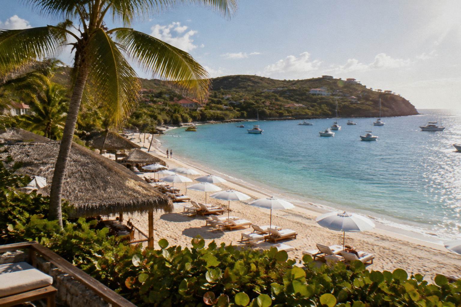 Row of loungers and parasols on a white beach, no people