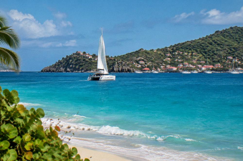 A catamaran under sail approaching a green island coastline at midday