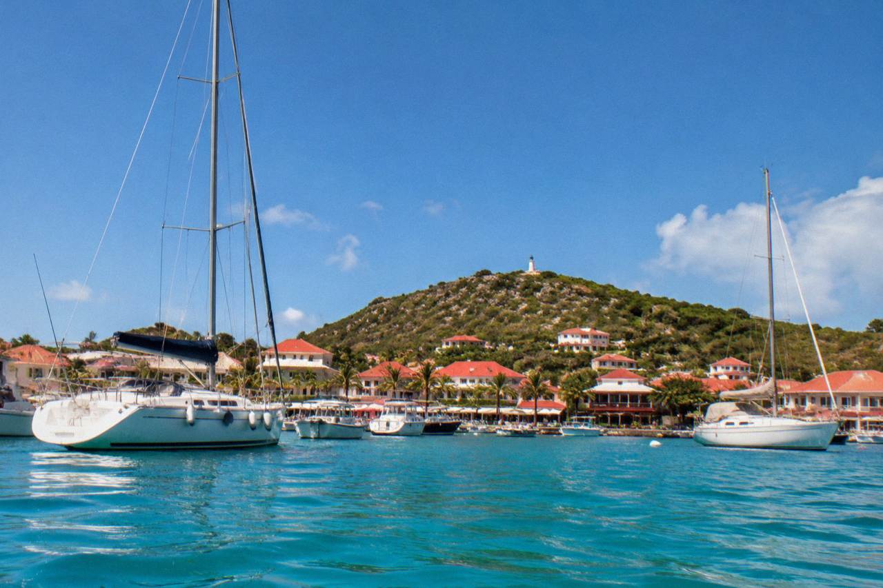 Sailing superyachts racing across open water near a green island coastline under a bright sky