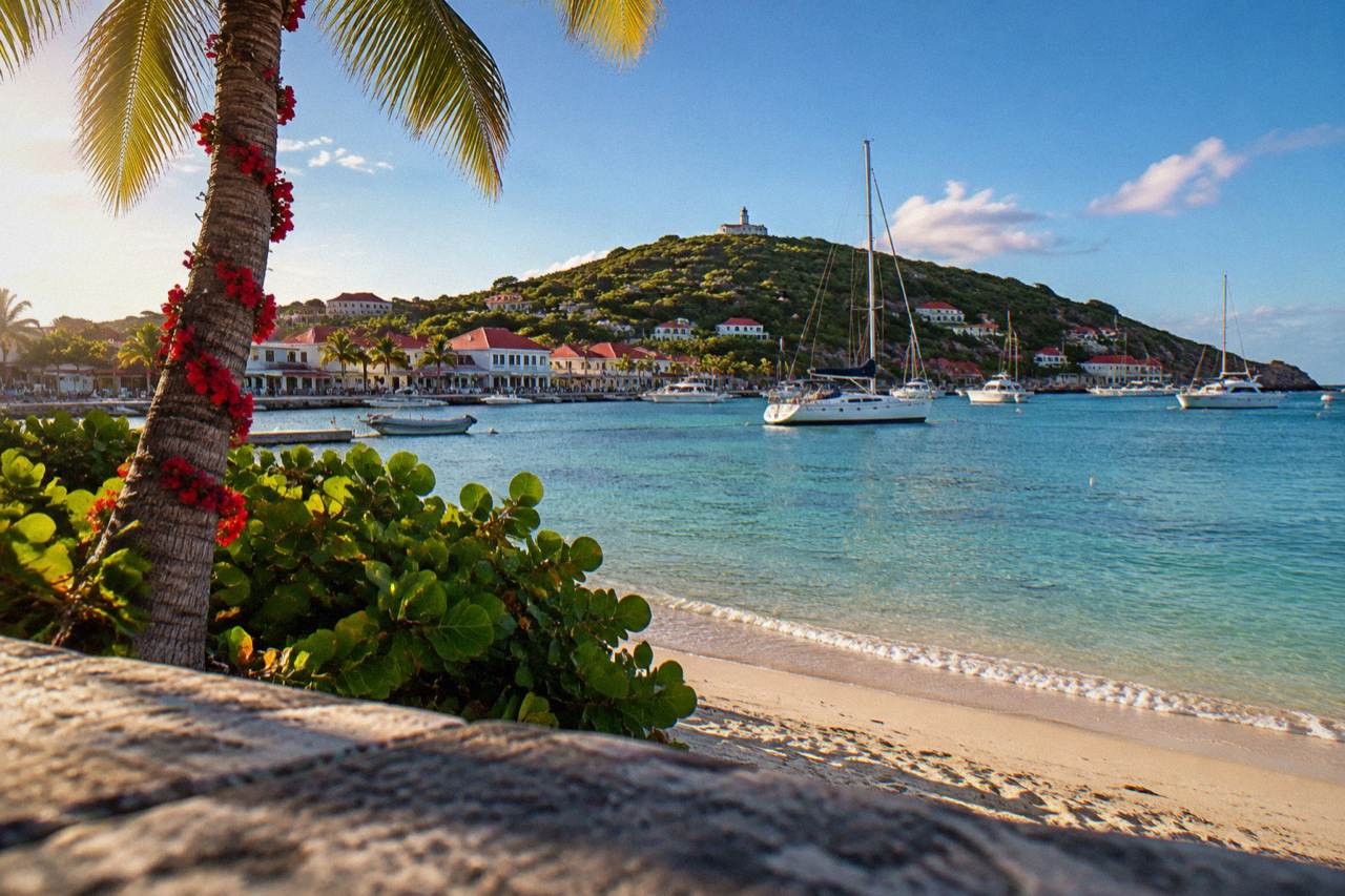 A decorated palm tree beside a Caribbean beach with calm turquoise water at dusk