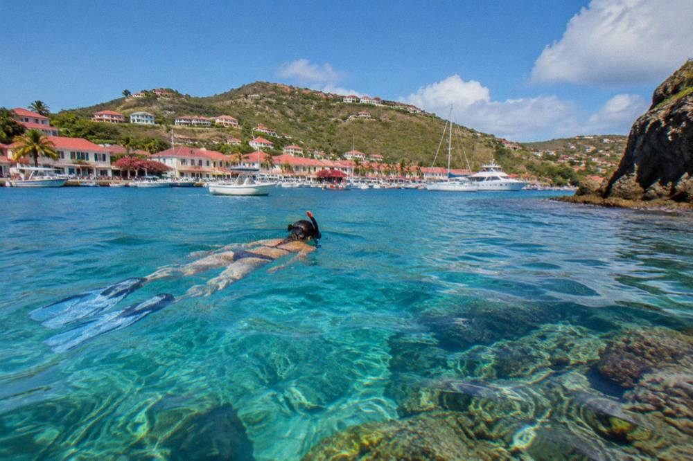 Snorkeler swimming over coral in clear turquoise water near a rocky St Barts headland