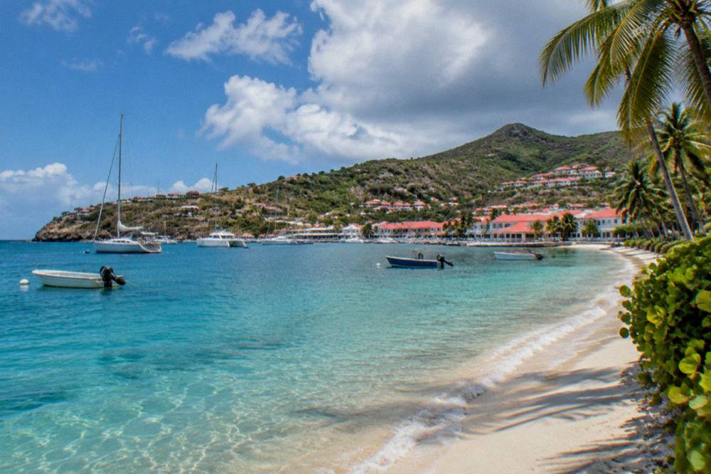 A quiet palm-lined beach on St Barts under a bright sky with no people present