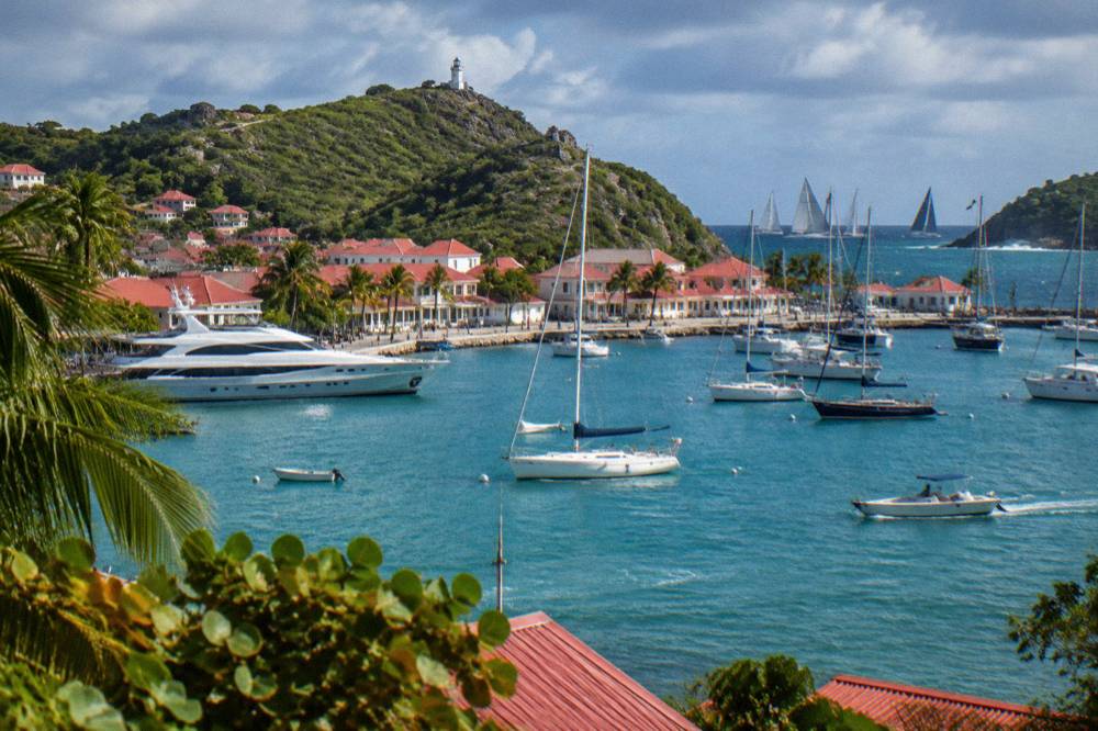 Large sailing yachts racing offshore beyond a green headland