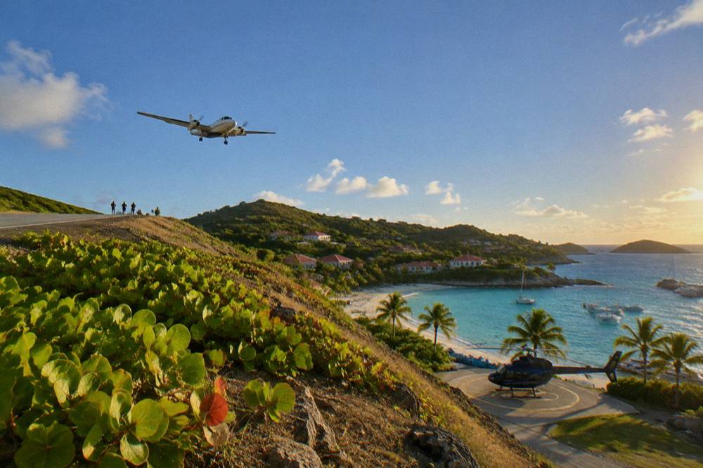 A helicopter parked on a coastal pad with palm trees and a harbor in the background