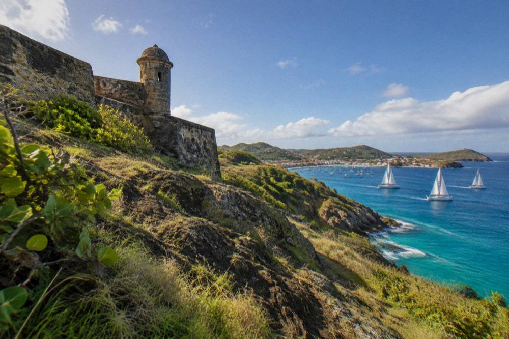 Sailing yachts racing past a green island coastline under a blue sky