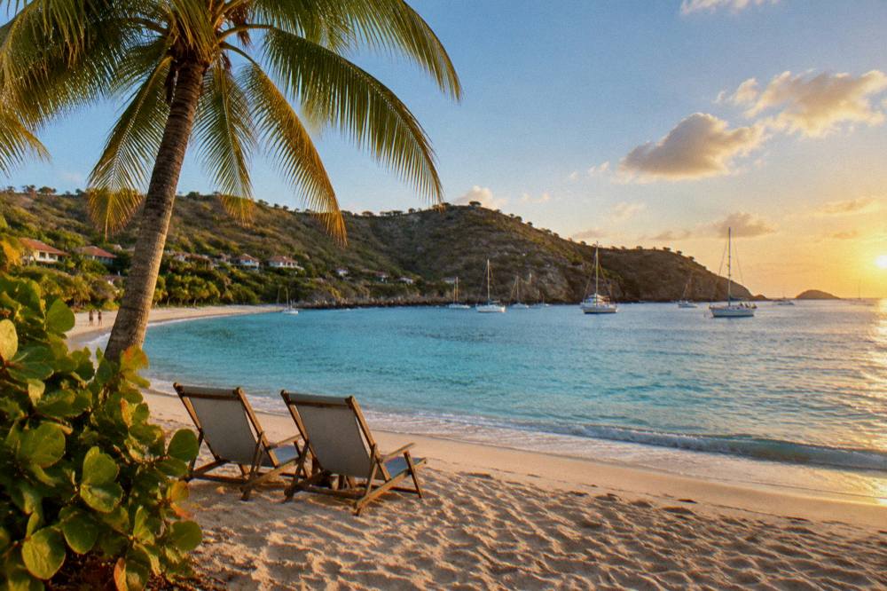 Two beach chairs under a palm tree facing calm turquoise water