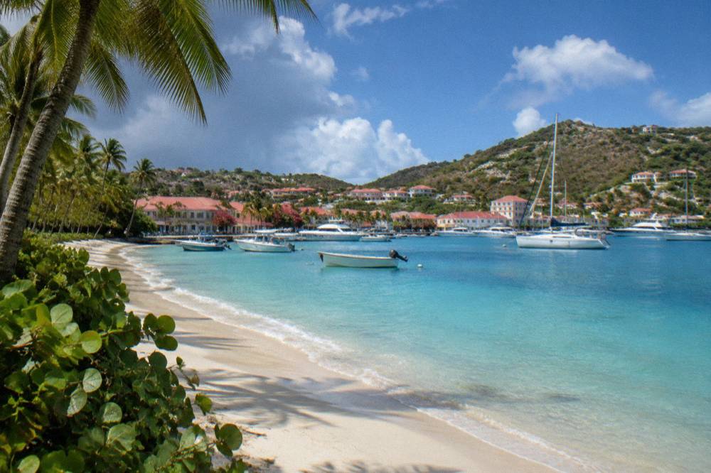 A quiet palm-lined beach with calm water and no people