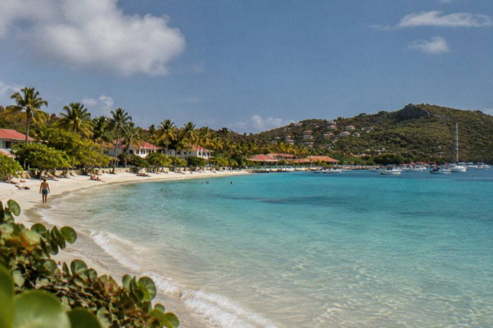 A palm-fringed white sand beach with calm shallow water on a sunny day