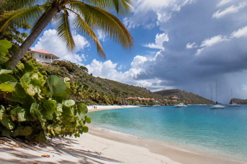 A low white building with a red roof above a palm-lined beach on a Caribbean hillside