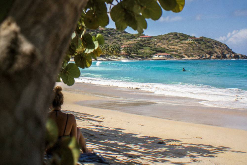 An empty palm-lined beach with gentle waves on a bright Caribbean morning